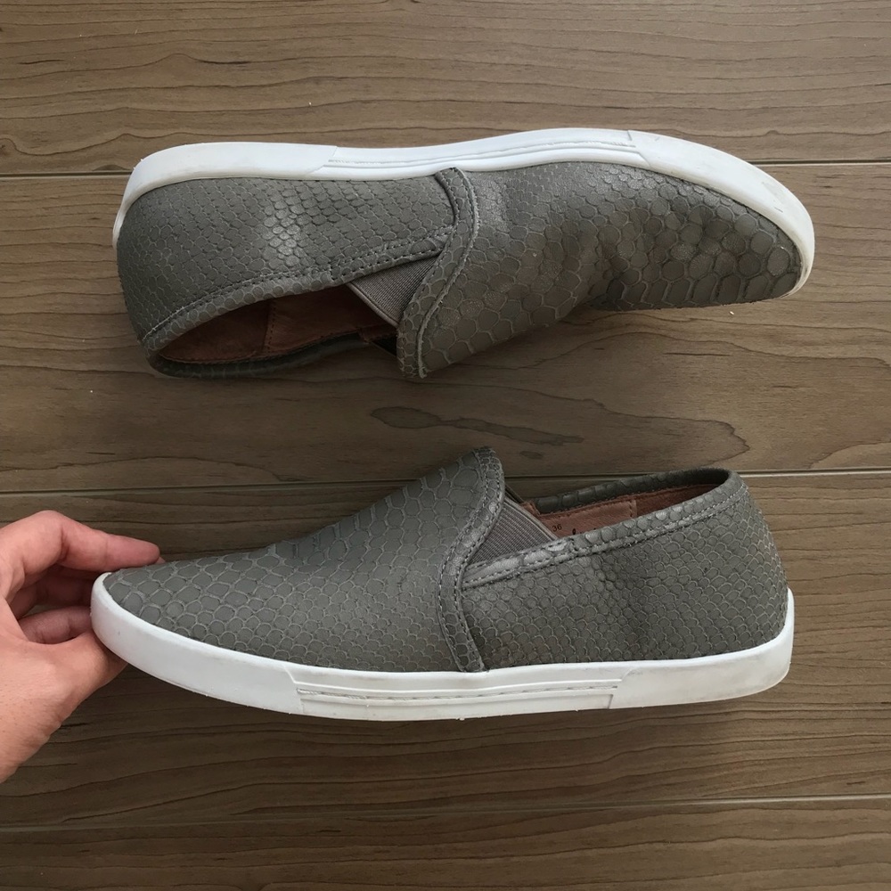 Joie Size 6